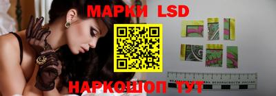СК Моздок