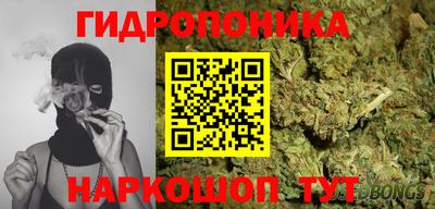 СК Моздок